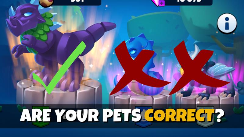 Best Pet Setups In Heroes vs. Hordes